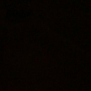 Meet your Posher, King